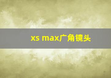 xs max广角镜头